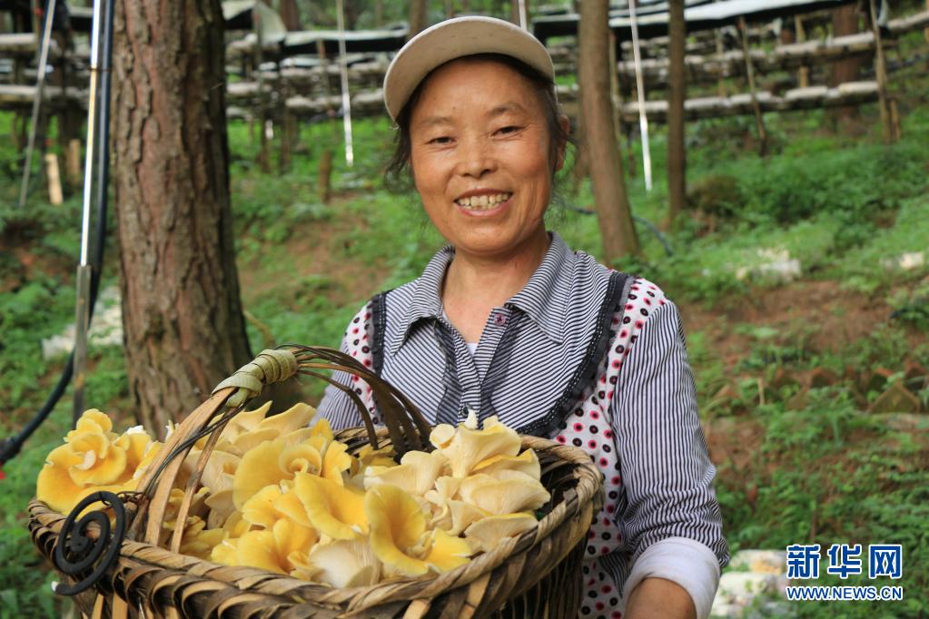 建设人与自然和谐共生的美丽家园——习近平生态文明思想基层生动实践新观察3.jpg