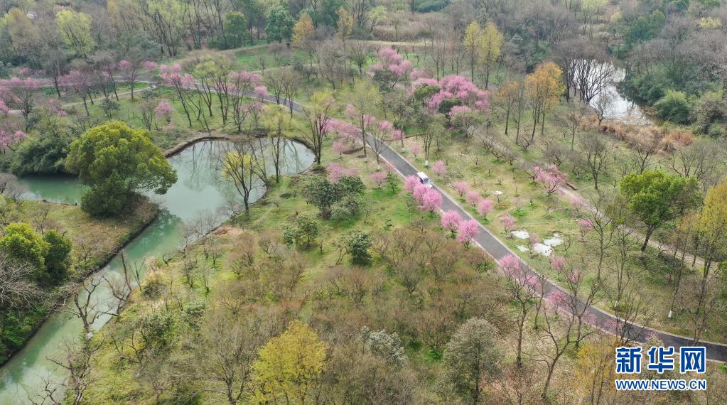 建设人与自然和谐共生的美丽家园——习近平生态文明思想基层生动实践新观察8.jpg