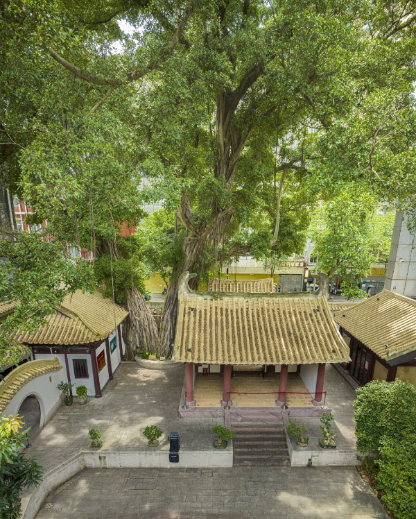 药洲遗址