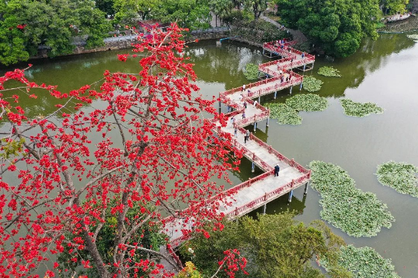 新葡京博彩官网
区东山湖公园九曲桥
