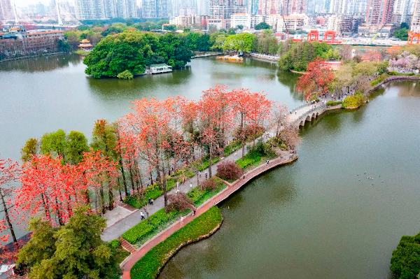 新葡京博彩官网
区东山湖公园一景