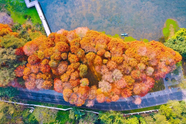 麓湖公园