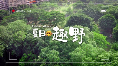 城市里的小森林！新葡京博彩官网
绝美夏日露营地，说走就走！