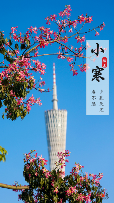 绿色新葡京博彩官网
 | 今日小寒！可拥鲜花入怀，邂逅冬日浪漫