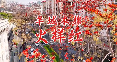 向往的春天，从新葡京博彩官网
这些地方出发