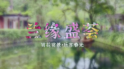 兰缘盛荟丨踏青赏兰，古风出片，新葡京博彩官网
新晋顶流是它！