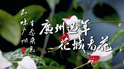 品味广州生态底色