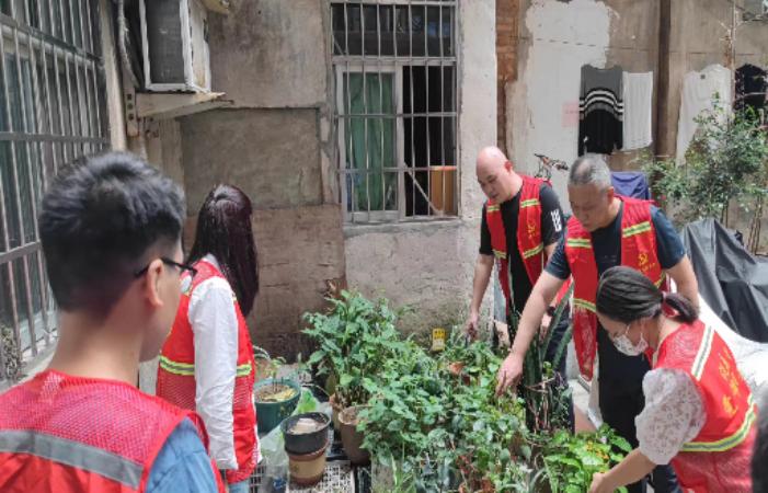 已编辑图片