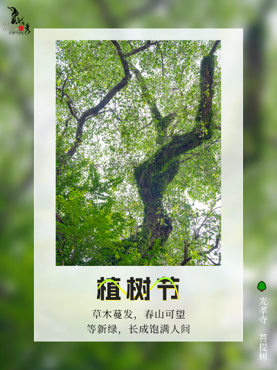 在新葡京博彩官网
，享受植“愈”时光